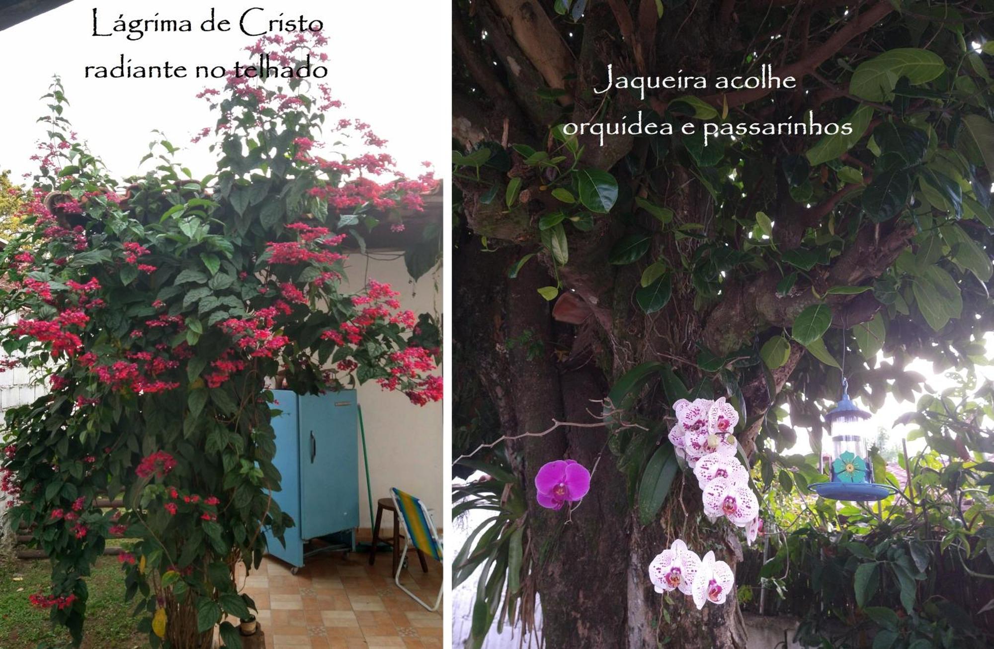 Chale Princesas Lodge *